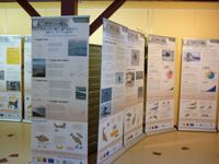 Exposition sur les phoques de la Baie de Somme. Du 2 au 8 juin 2012 au Crotoy. Somme. 